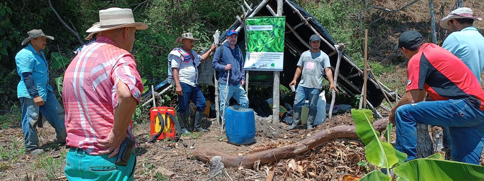 Testimonio Productor de Platano de Ituango, Antioquia